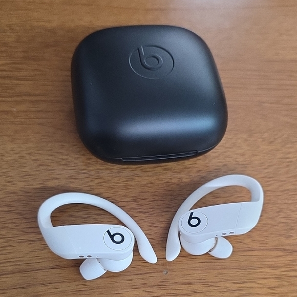 apple beats Other - Apple Beats  Powerbeats Totally Wireless Earbuds (Read Description)